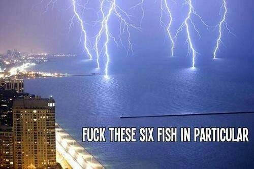 Especially those six.