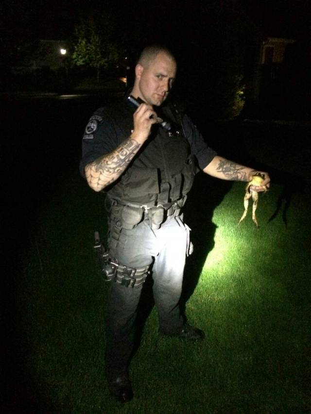 Ashland PD took a call of someone banging on trash barrels and walking on the back deck. After a short pursuit, one is in custody.