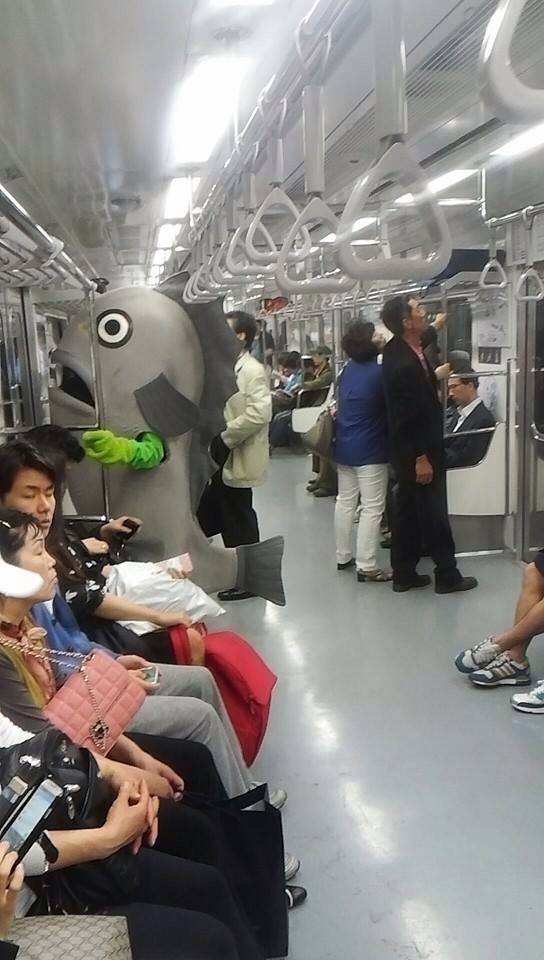 Trains in Korea are a bit different than those back in the states.