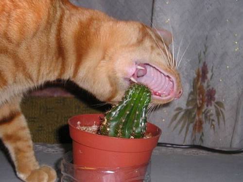 Regret in 3... 2... 1...