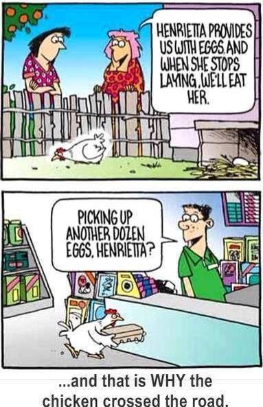 [solved] chicken crossing road,