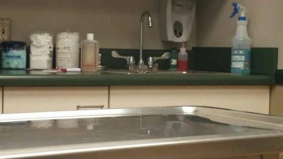 So, my cat had to go to the emergency vet today.