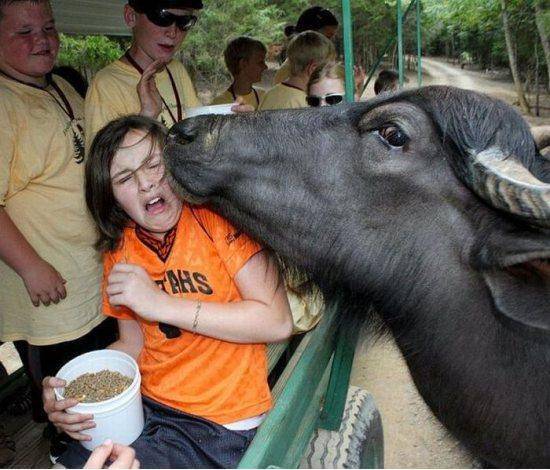 Daily Afternoon Chaos (40 Pictures)