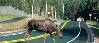 Solar FREAKIN’ Roadways!