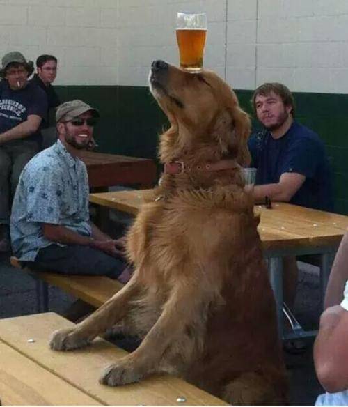 The local attraction of my bar in new mexico