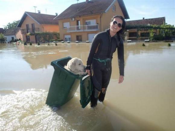 A girl saving a golden retriever from the floods in a trash can.