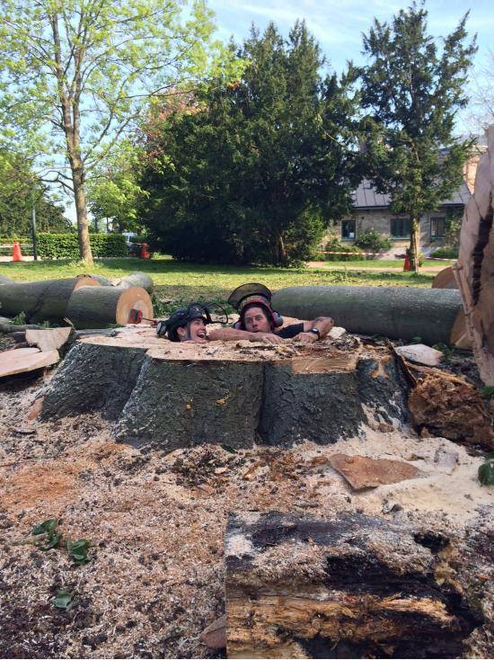 Friend cut down a tree which had a small cavity in its trunk.