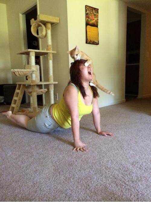My Girlfriend’s New Yoga Pose