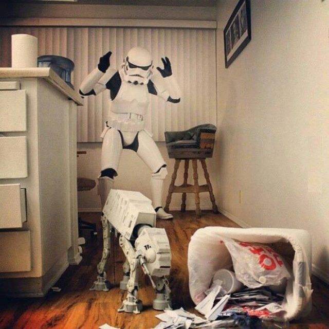 This is the picture that brought me to reddit.