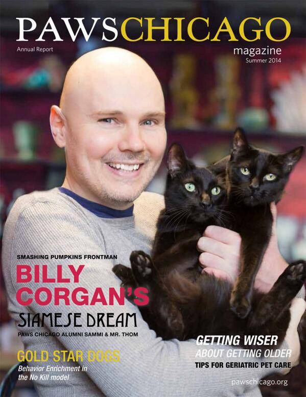 Despite all my rage I am still holding cats on a page