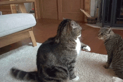 High fi-AAH!