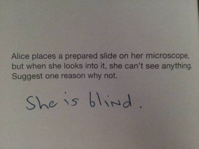 The obvious answer.