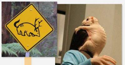 What do warning signs really warn about?