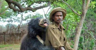  Bears Acting Scarily Similar to Humans