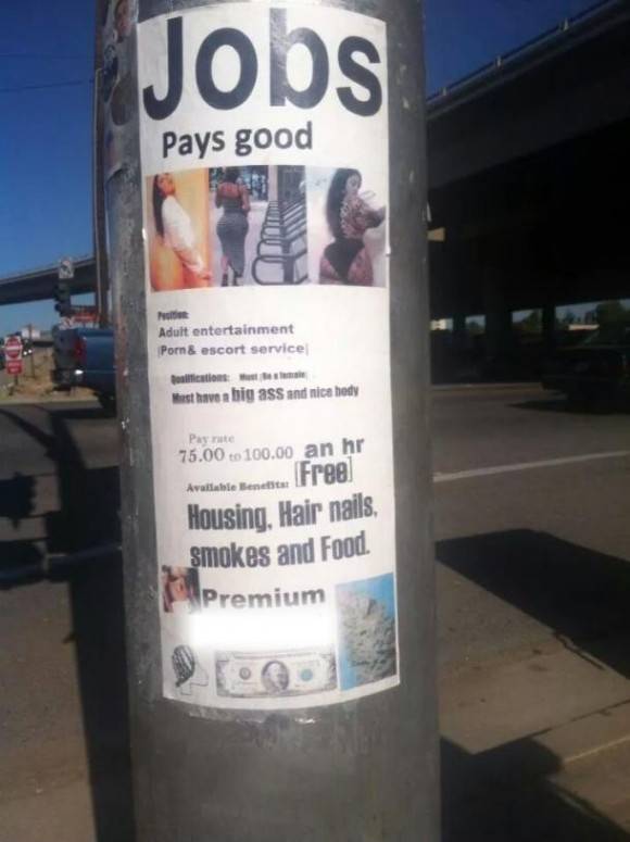 An interesting job offer