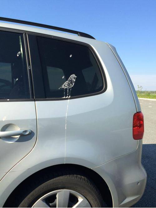 Birdpoop masterpiece at the parking lot