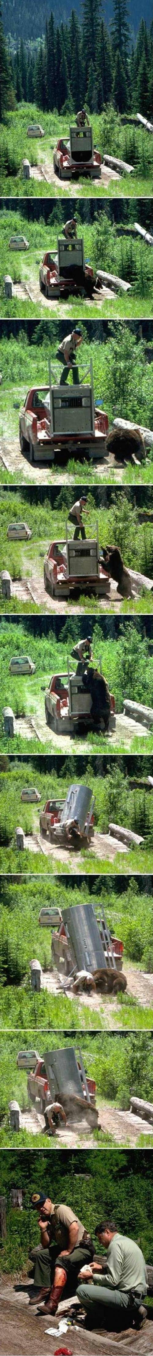 Meanwhile in Montana......