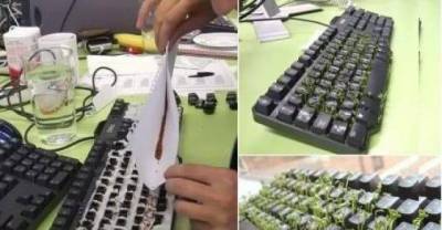  Perfect Pranks for Every Occasion