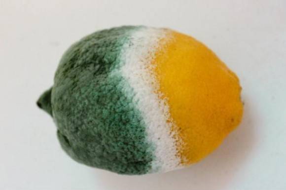 Found the new Sprite logo in the back of my fridge.