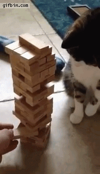 THIS, HUMAN. THIS, THIS ONE.