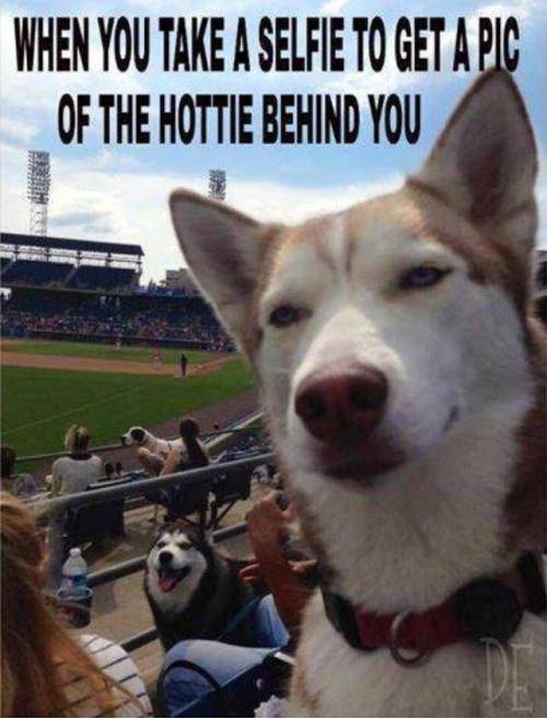 Selfie
