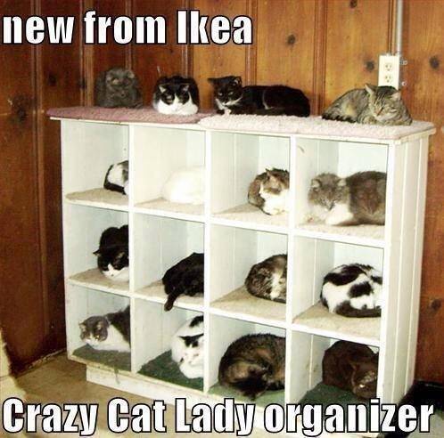 This IKEA cat bed has everyone beat.