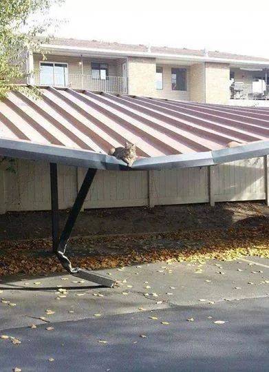 Someone has to lose some weight...