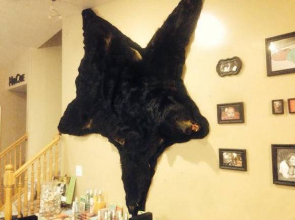 First my wife said the walls were too bare, and now they are too bear.