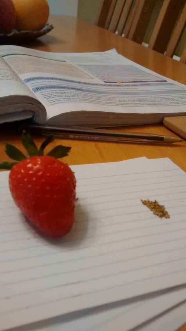Procrastination.