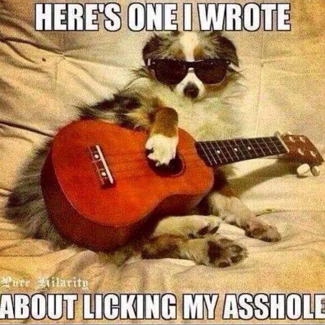 Sounds like a good song.