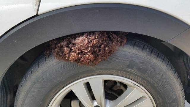 Noticed I had a balding tire.. all fixed now ..