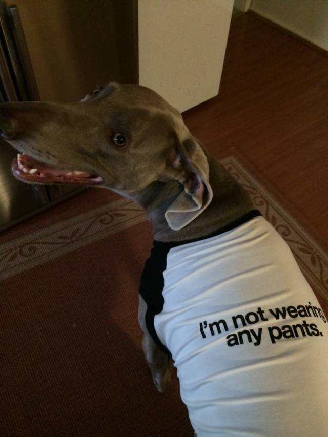 His face says it all.