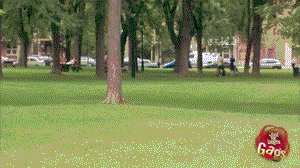 I wish I had a twin just to pull this kind of pranks