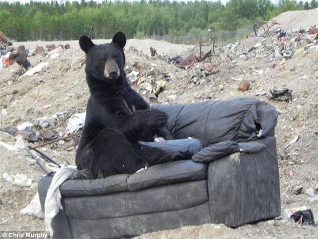 When you blackout and wake up in an unknown place.