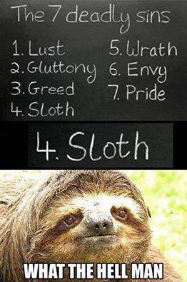 Poor Sloth.