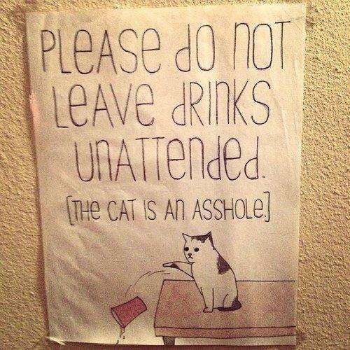 All hands on deck...literally!