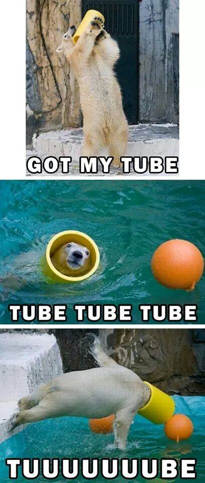 Aw yiss....motha.... f*cking....tube.