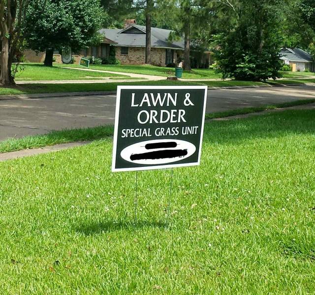 The best name for a lawn care business.