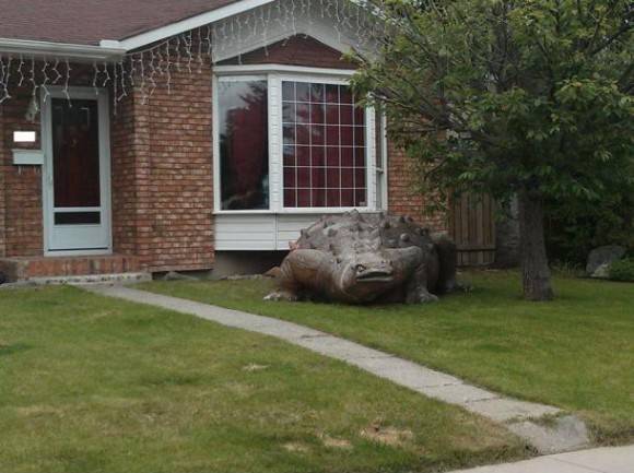 So my neighbour got a new front lawn decoration
