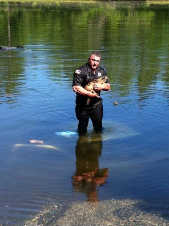 This cop rescued a dog from a submerged pickup truck