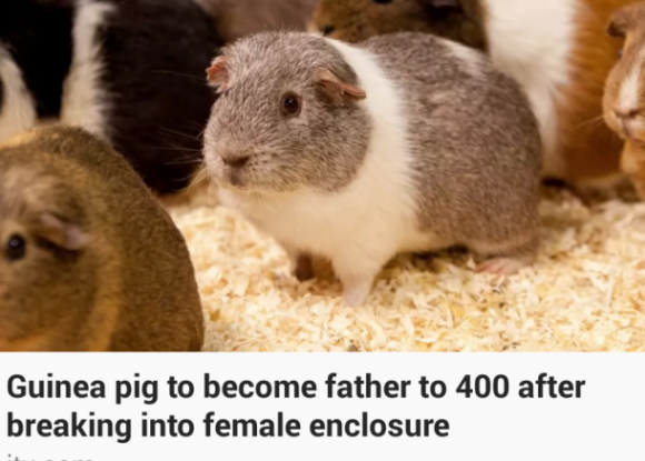 The face of no regrets.