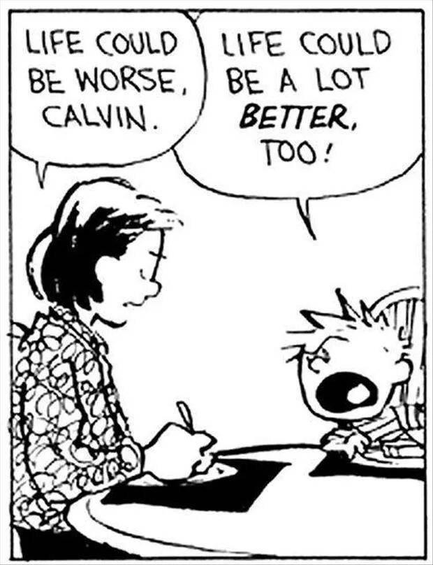 Calvin and Hobbes. They made me wise at a young age.
