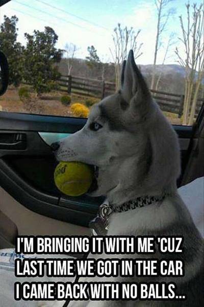 He's catching on...
