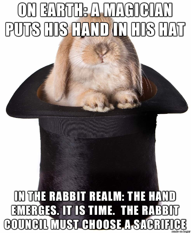 What really happens during a magic trick
