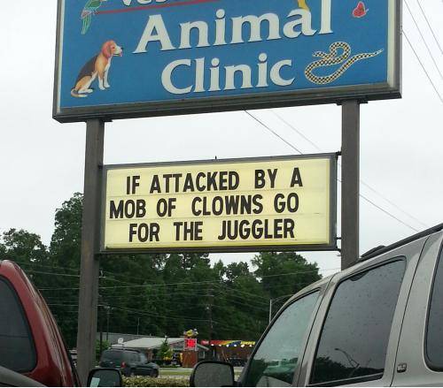 Words of wisdom. You never know, it could save your life some day.