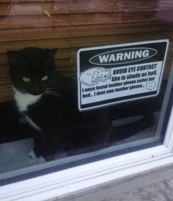 The neighbors needed to be warned.