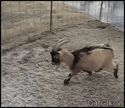 Smooth