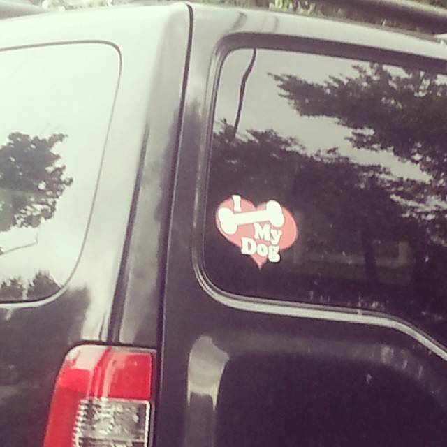 Awww... Wait... You what your dog?