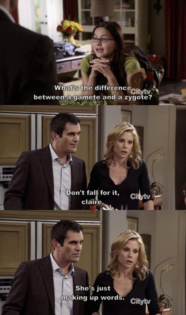 Difference between a gamete and a zygote