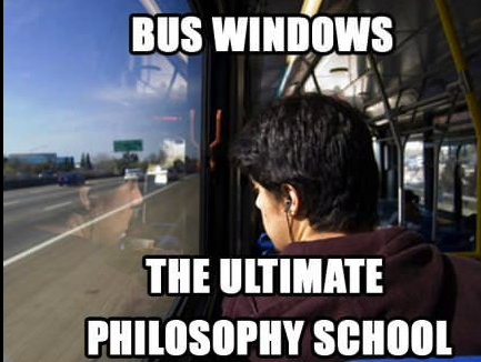 School bus windows.